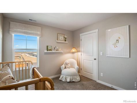 842 Trumpet Lane Windsor CO 80550