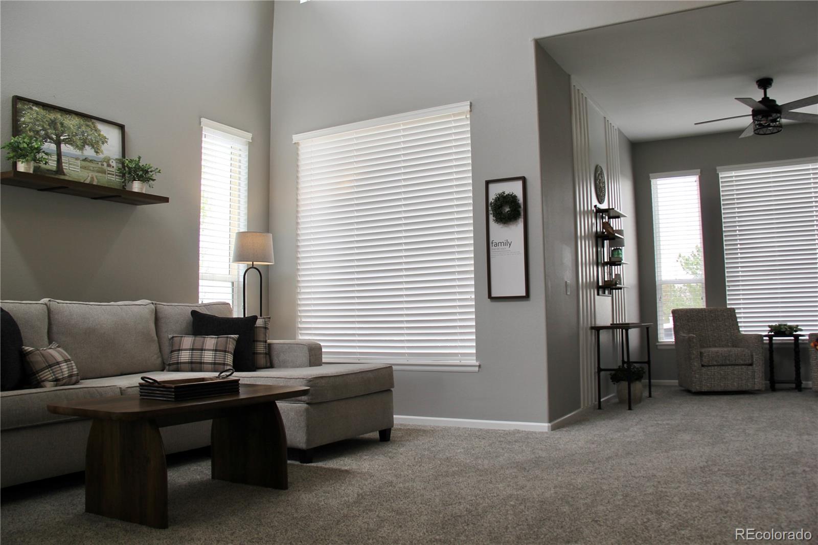 10755 Willow Reed Court Parker CO 80134