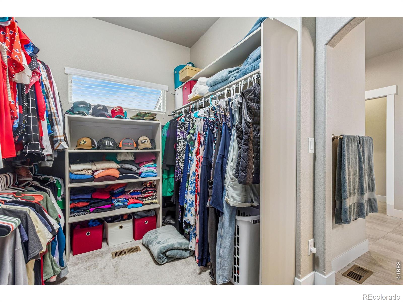 7161 Silver Court Timnath CO 80547