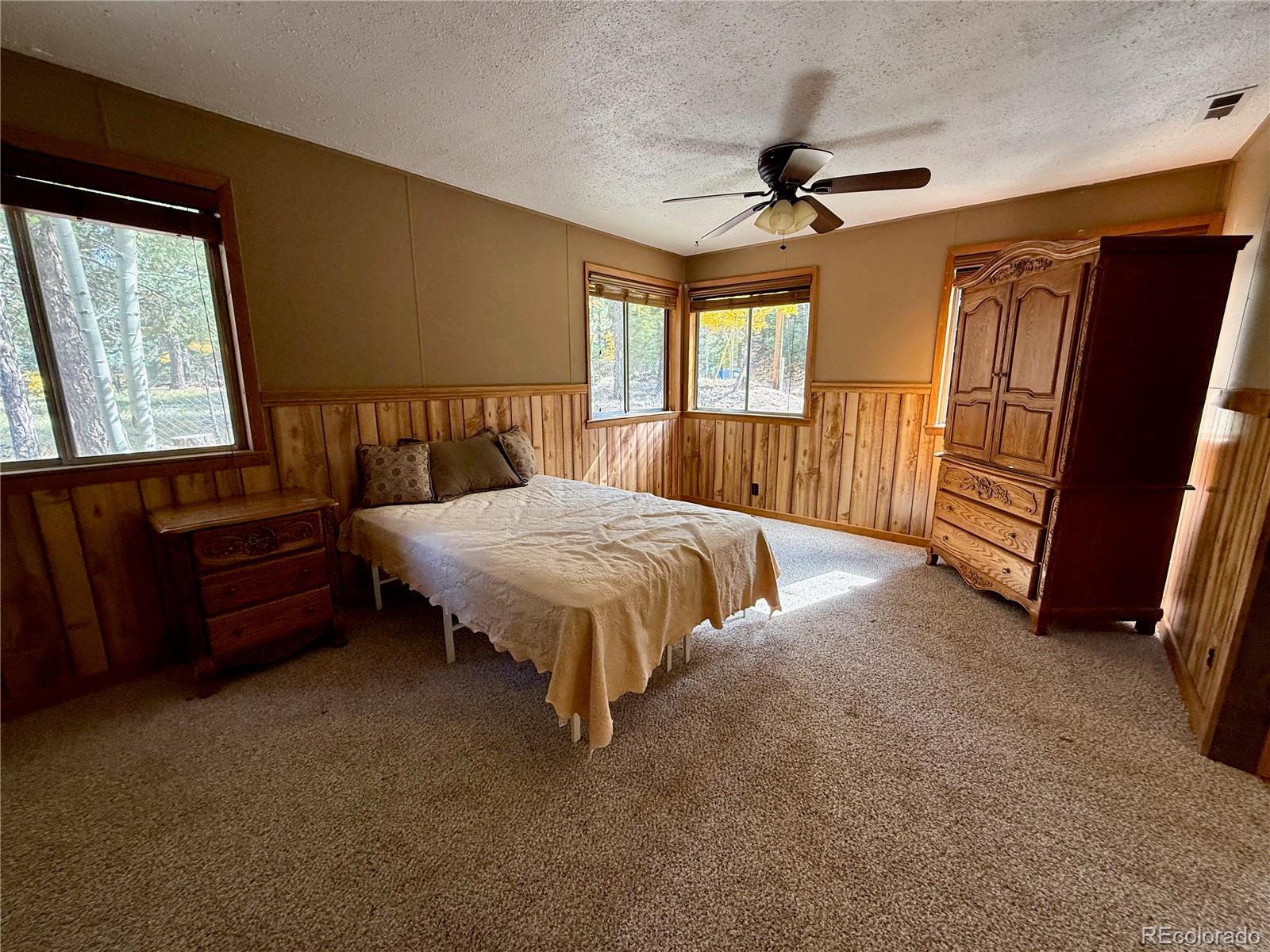 753 Will Stutley Drive Divide CO 80814