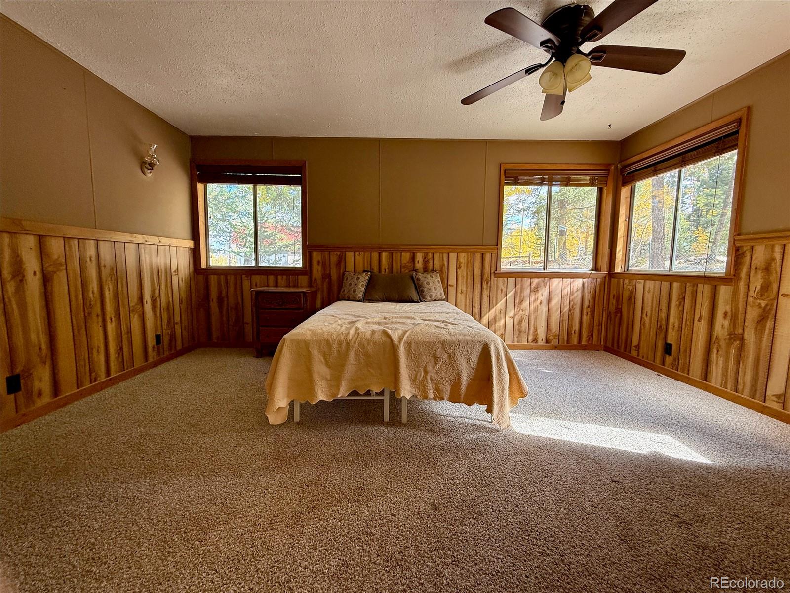 753 Will Stutley Drive Divide CO 80814
