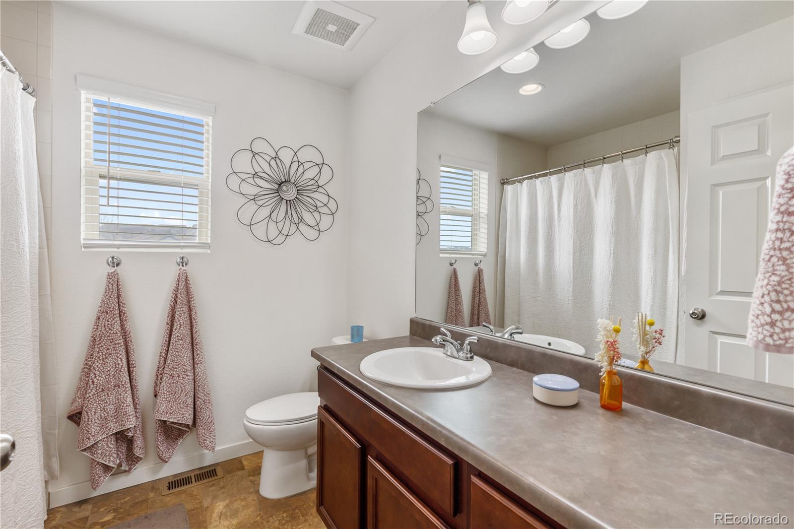 3133 Hardin Street Castle Rock CO 80109
