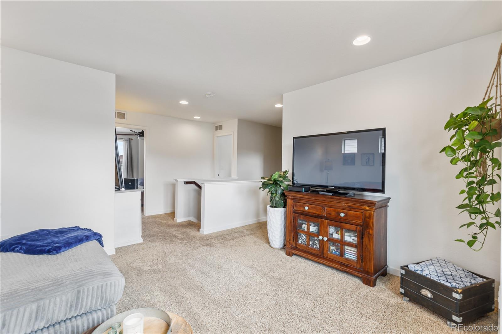 3133 Hardin Street Castle Rock CO 80109