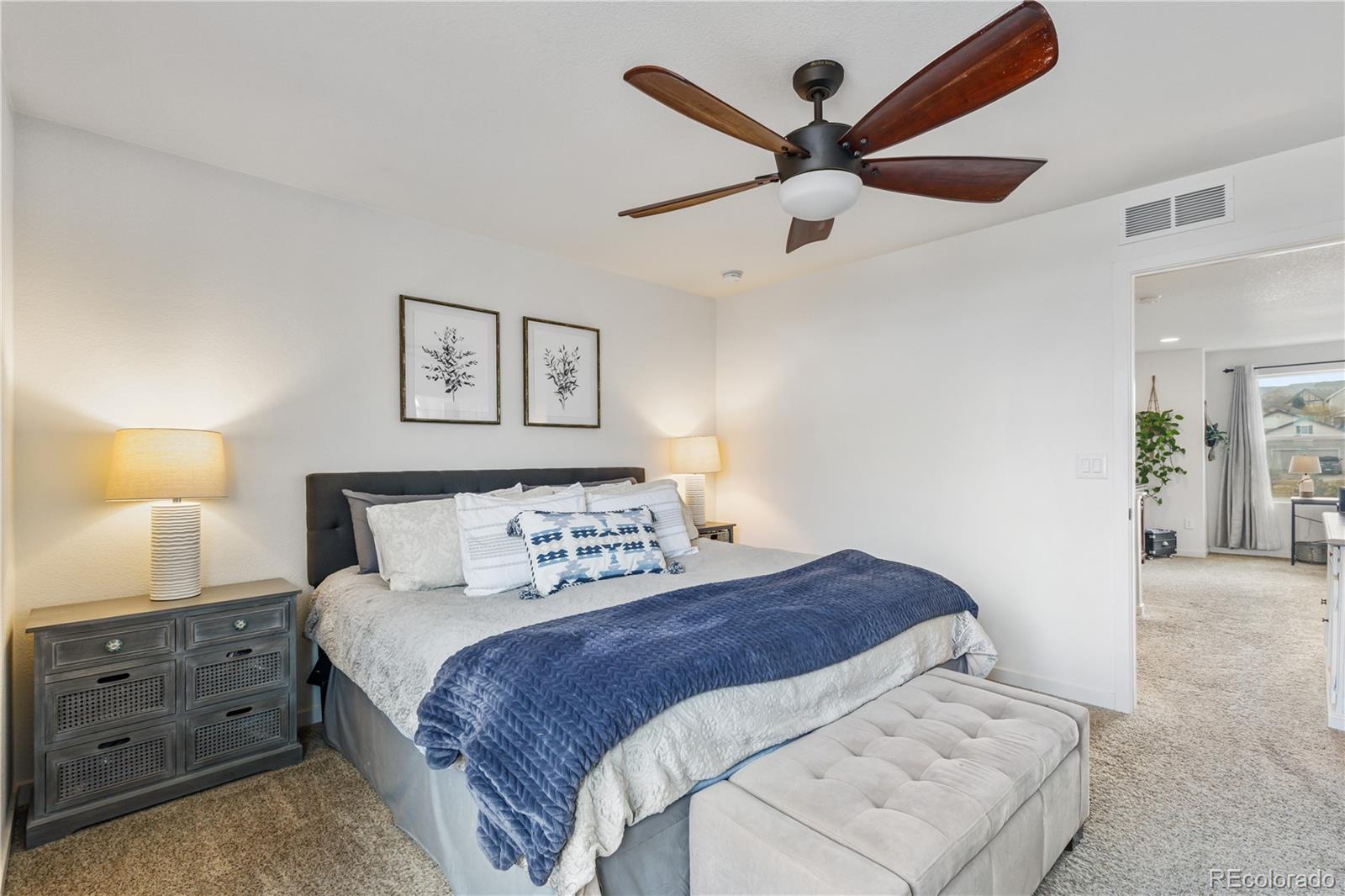 3133 Hardin Street Castle Rock CO 80109