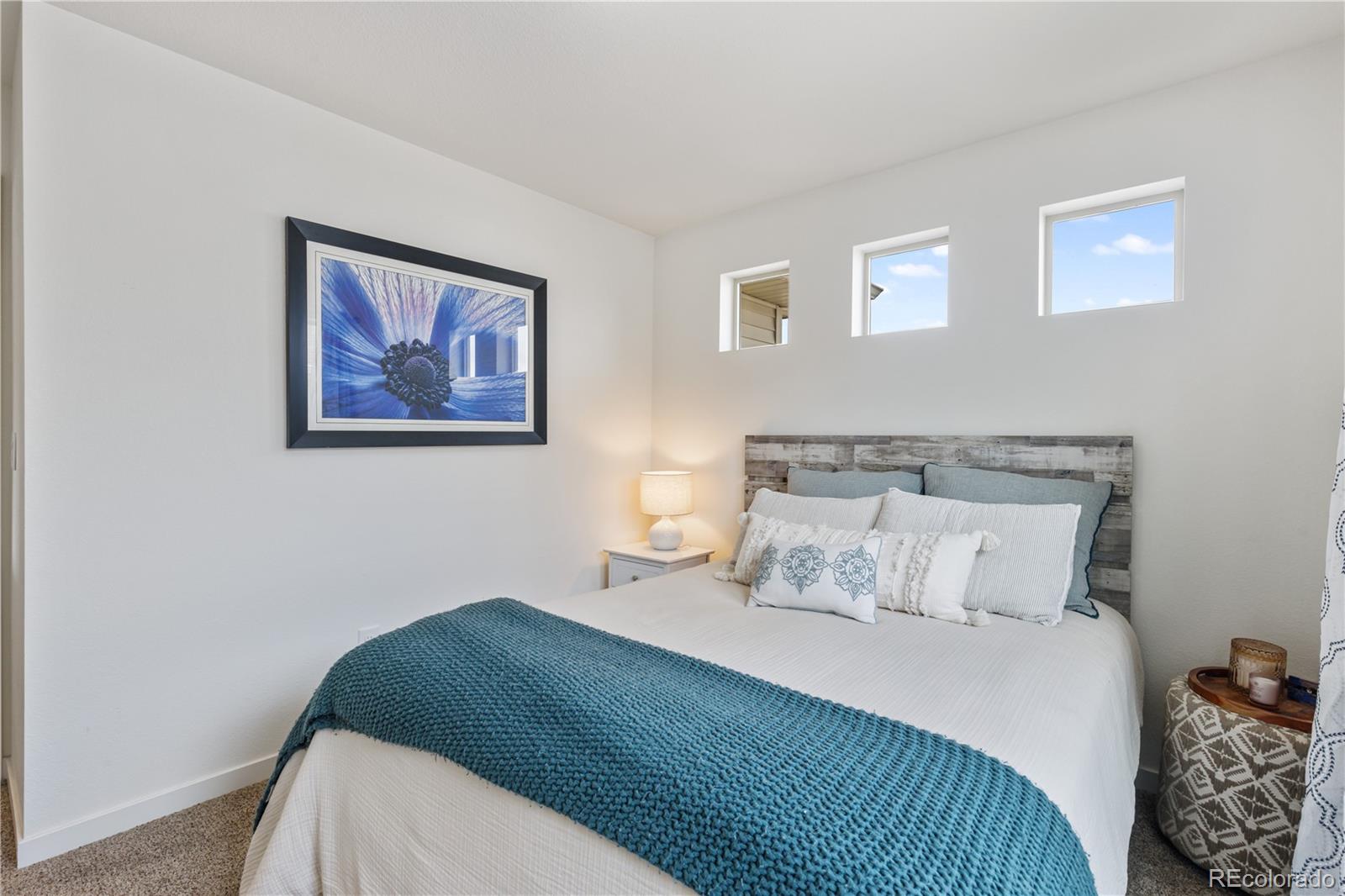 3133 Hardin Street Castle Rock CO 80109