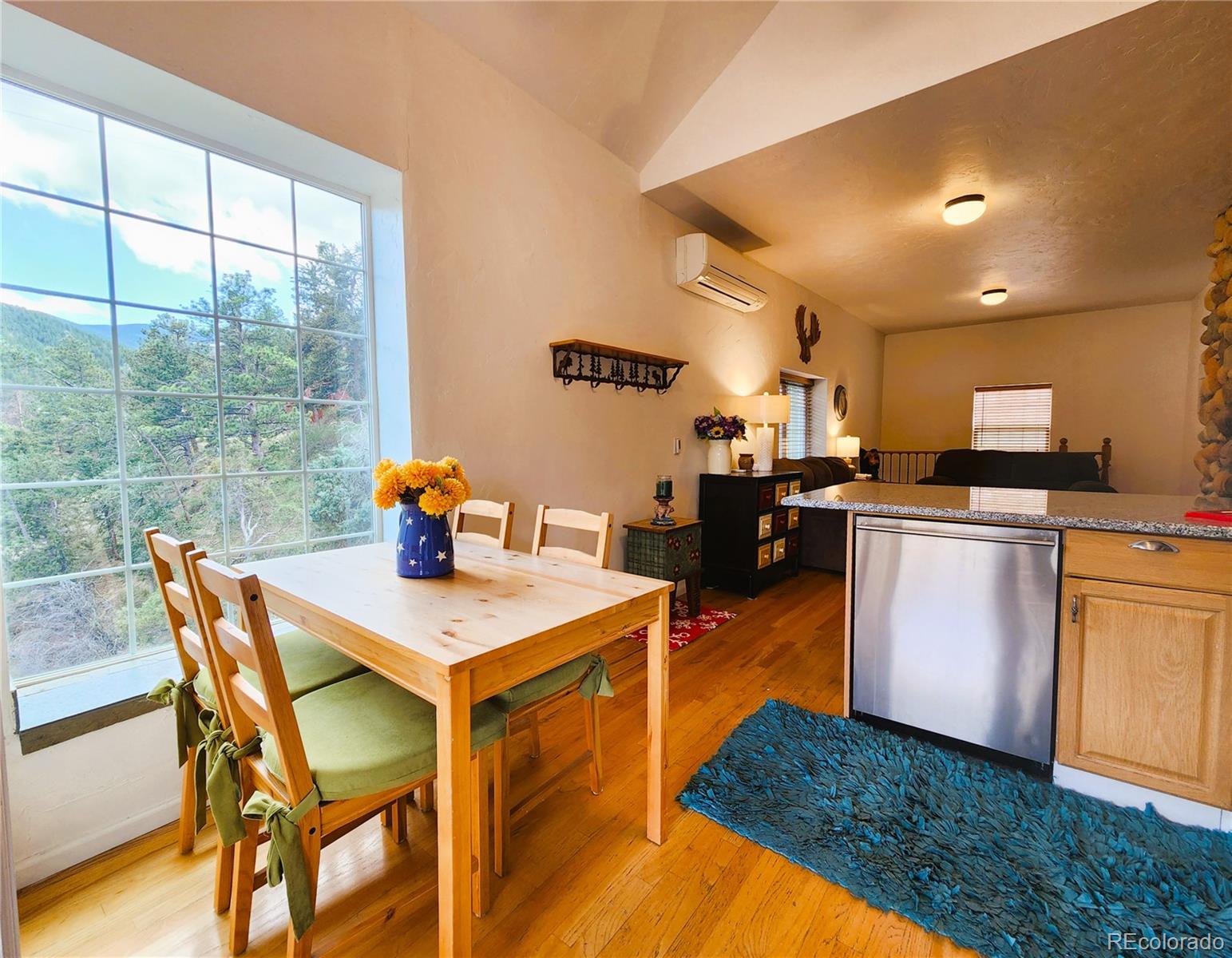 634 Pine Slope Road Idaho Springs CO 80452