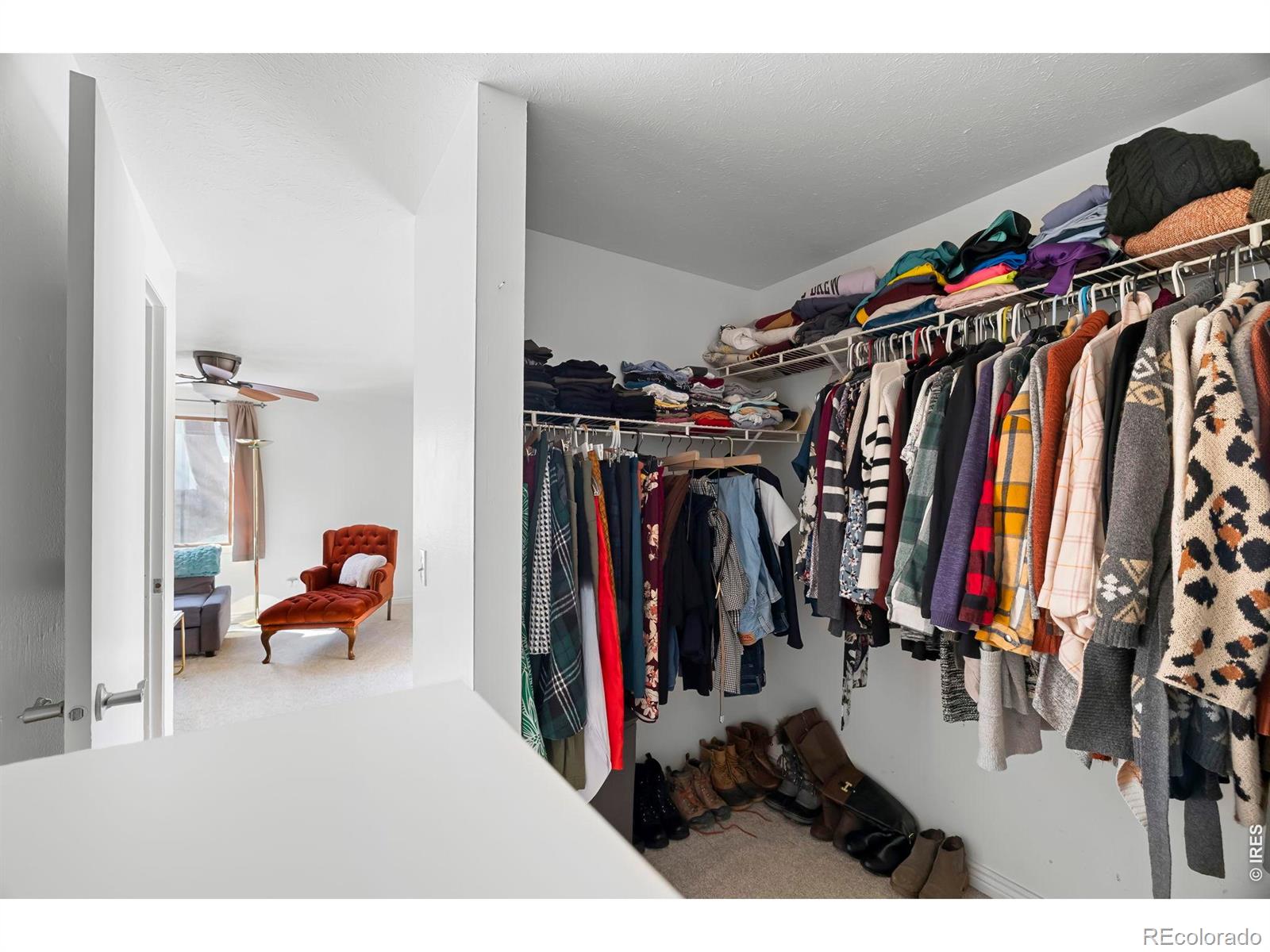 3319 Liverpool Street Fort Collins CO 80526
