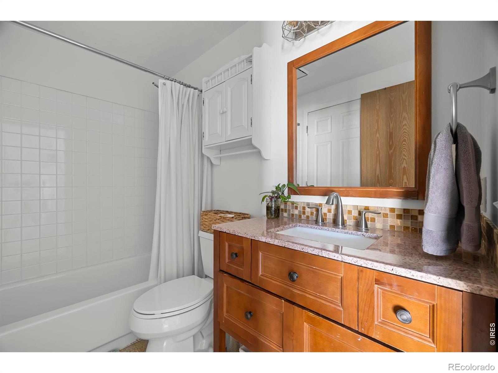 3319 Liverpool Street Fort Collins CO 80526