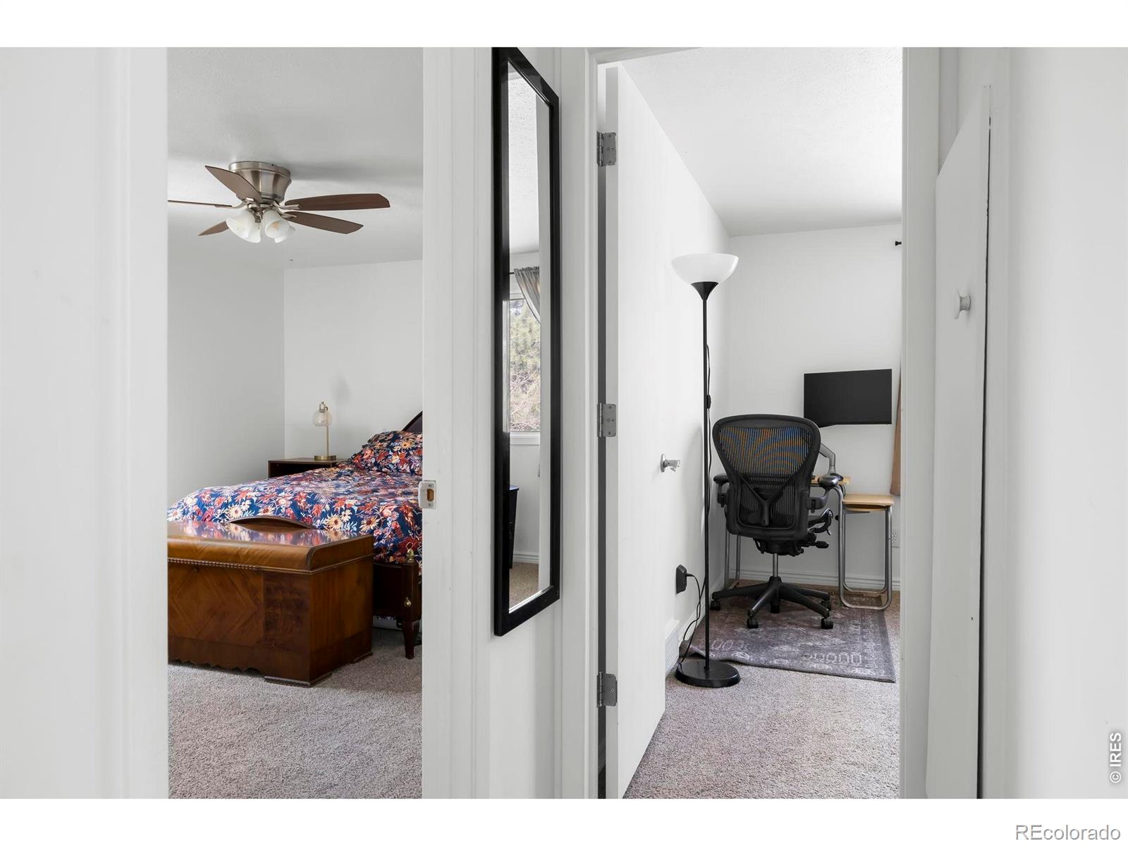 3319 Liverpool Street Fort Collins CO 80526