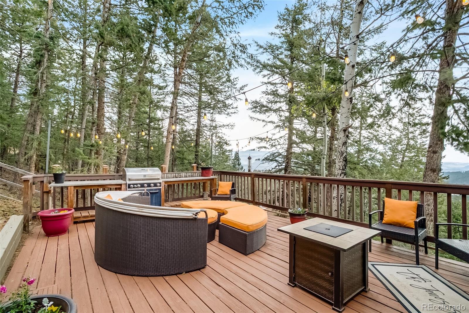 30282 Pine Crest Drive Evergreen CO 80439