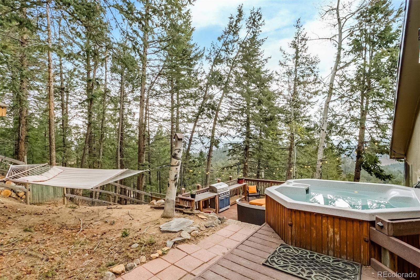 30282 Pine Crest Drive Evergreen CO 80439