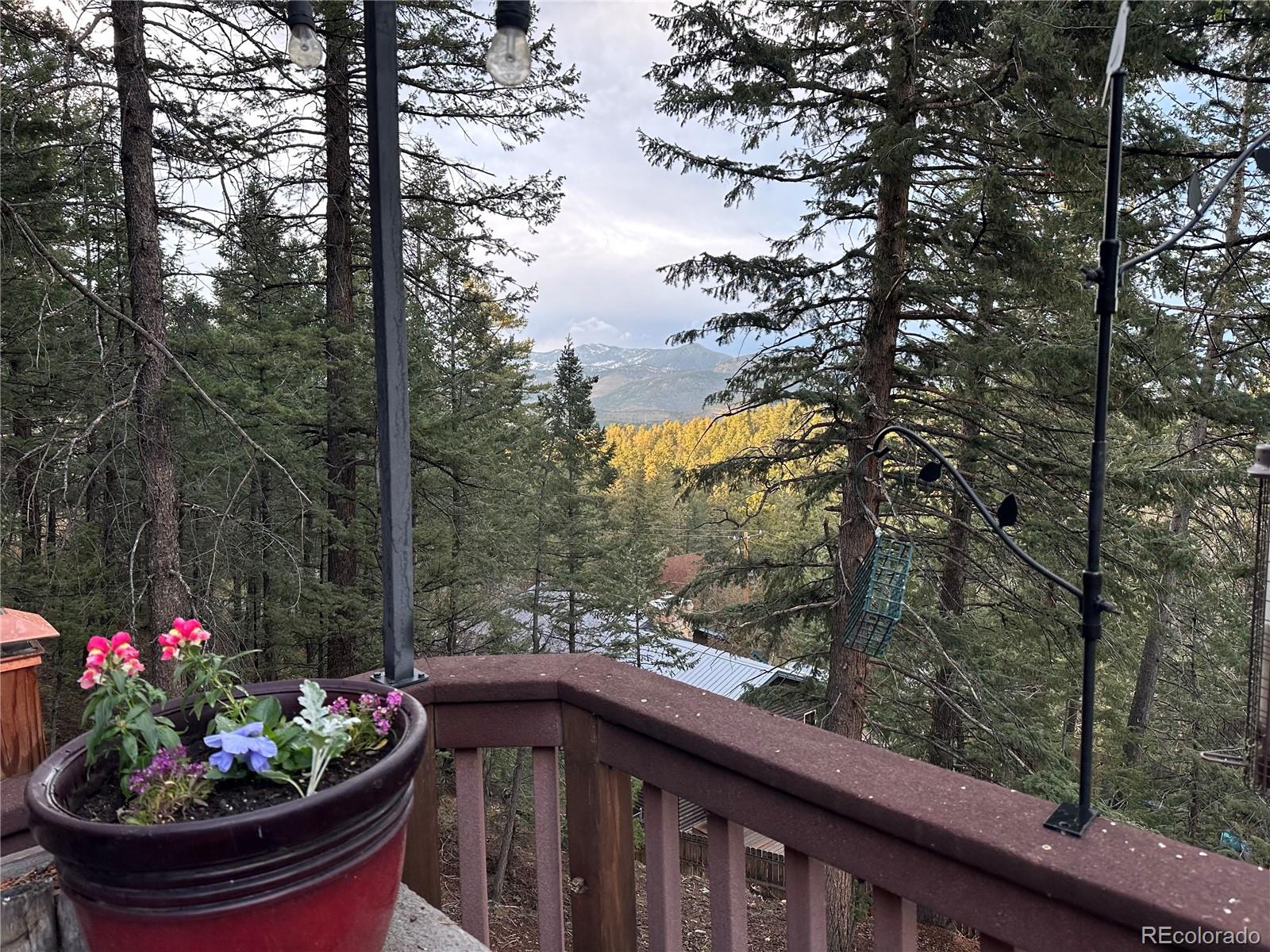30282 Pine Crest Drive Evergreen CO 80439