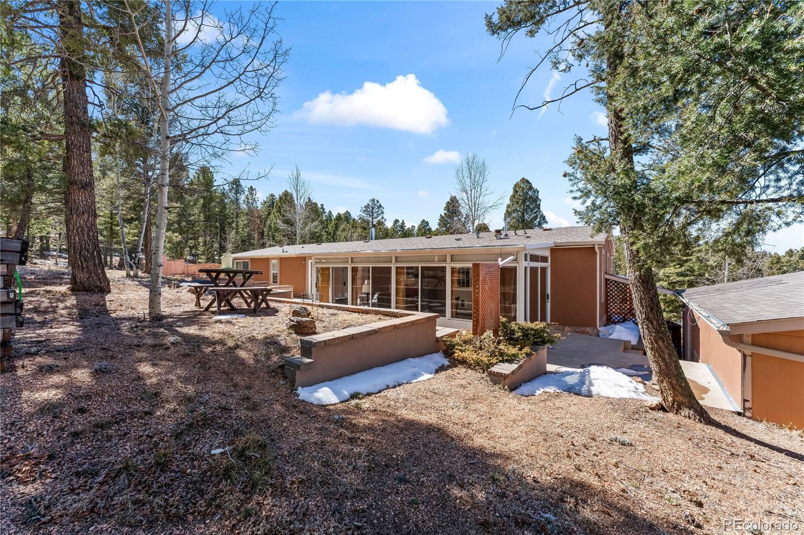 146 Kokwapy Court Florissant CO 80816