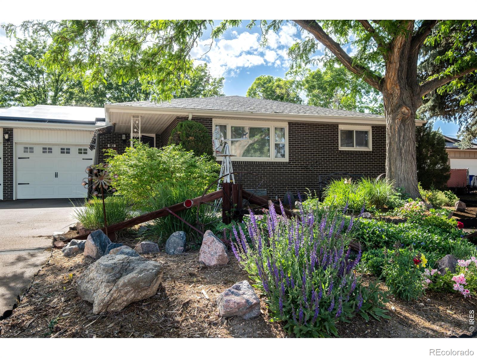 2145 Buena Vista Drive Greeley CO 80634