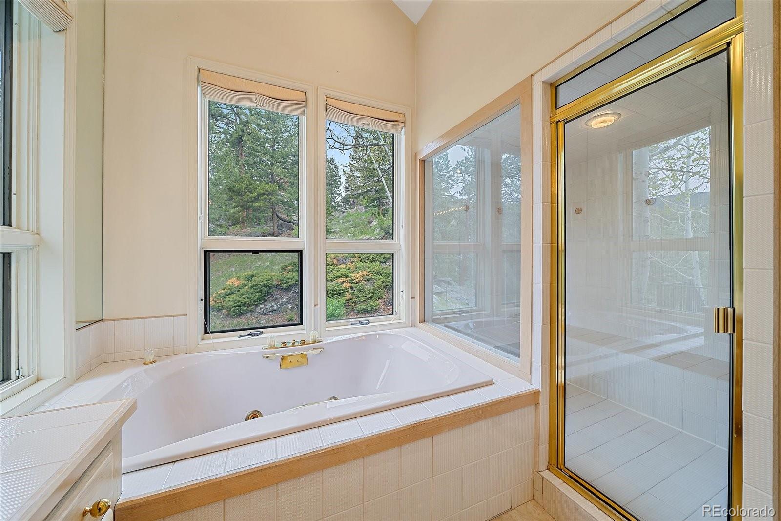 787 W Meadow Road Evergreen CO 80439