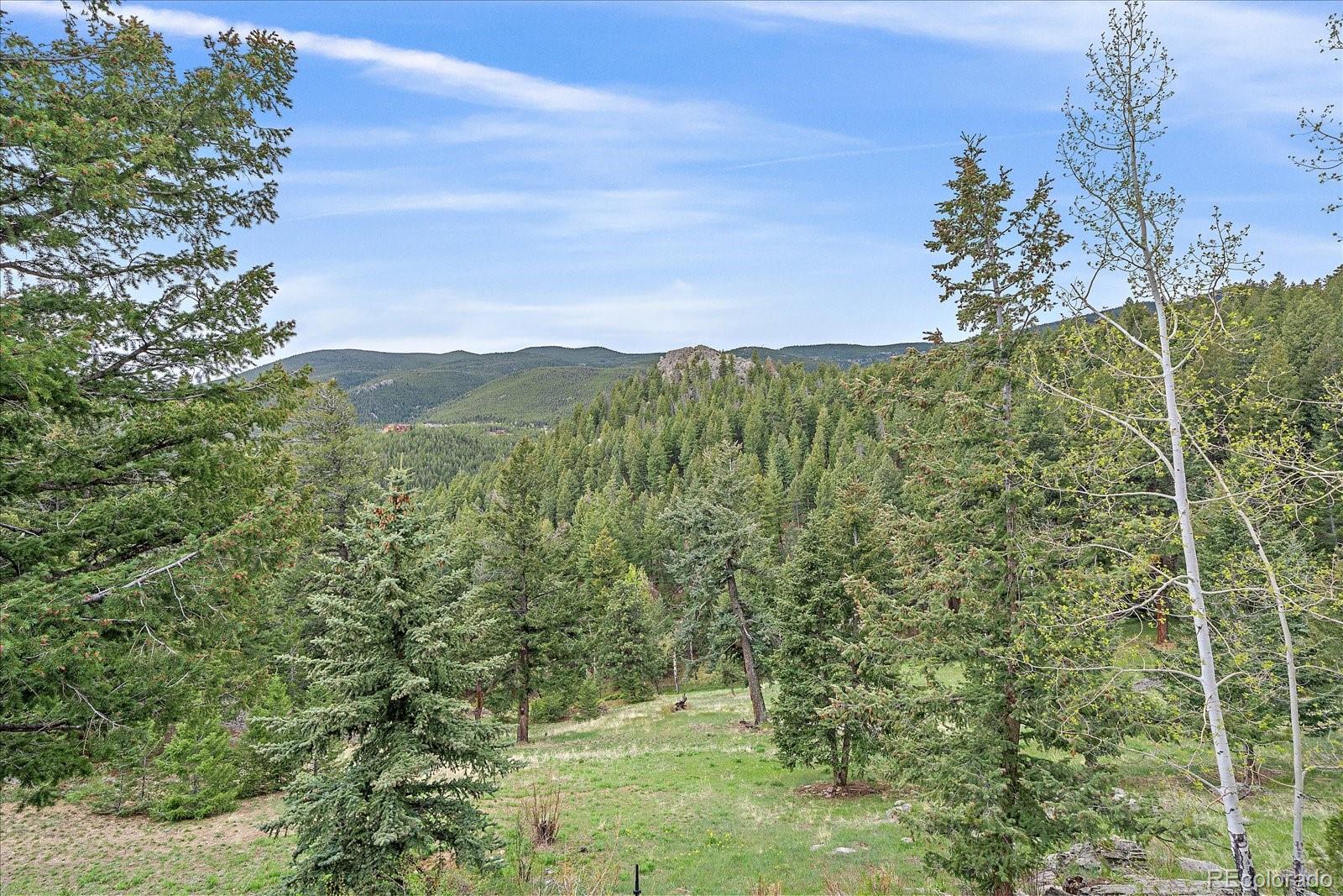 787 W Meadow Road Evergreen CO 80439