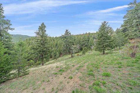 787 W Meadow Road Evergreen CO 80439