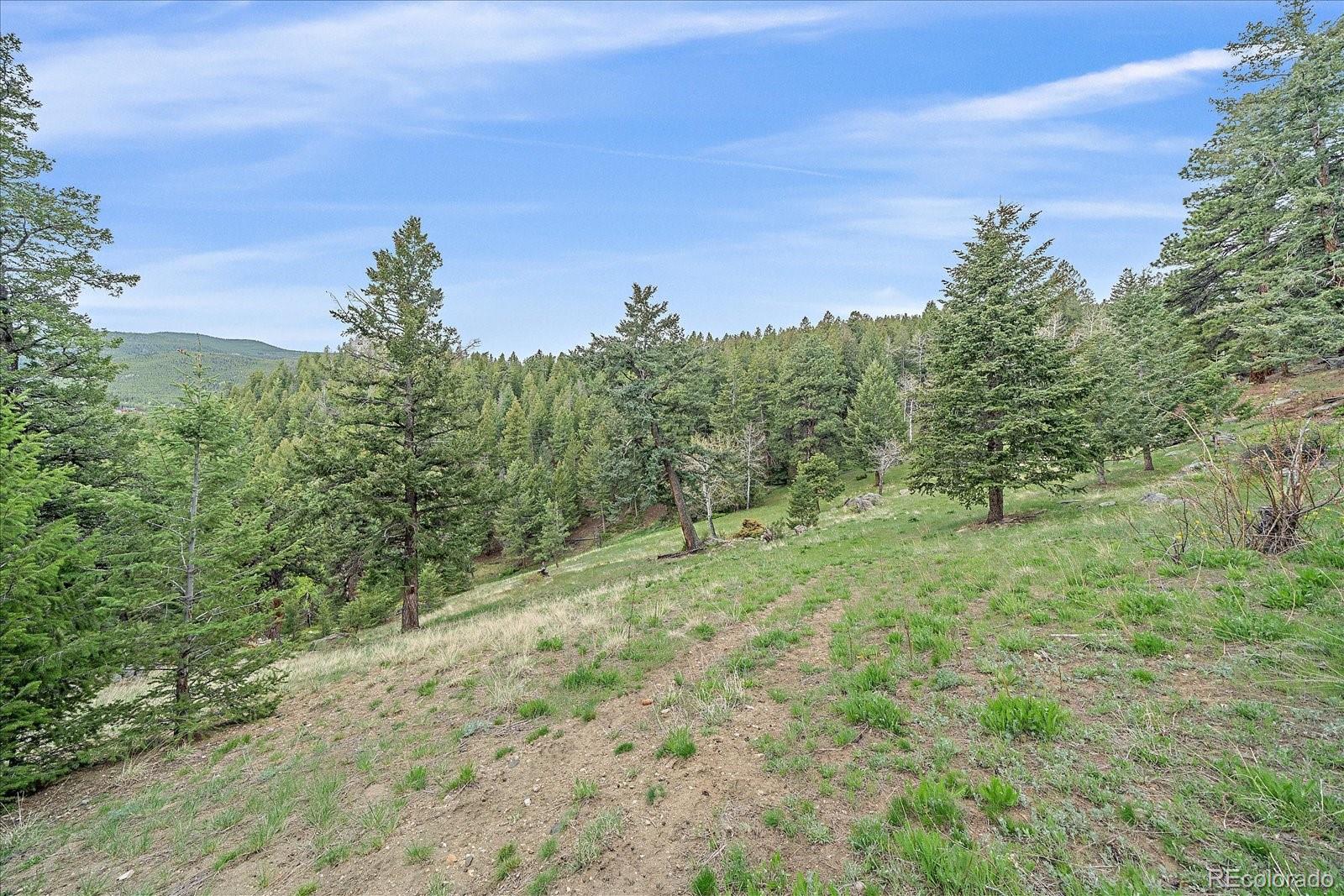 787 W Meadow Road Evergreen CO 80439