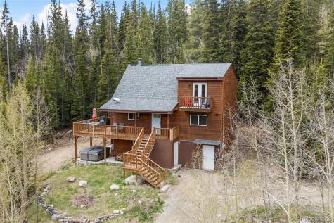 894 Peterson Drive Alma CO 80420