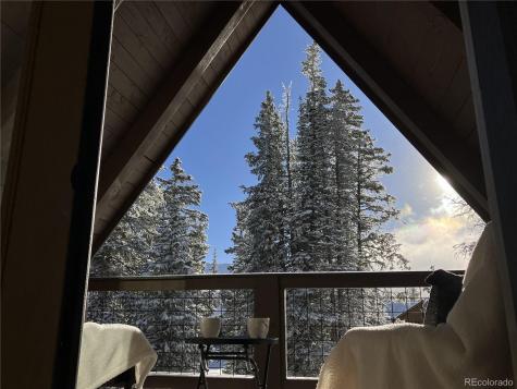 297 Robertson Lane Breckenridge CO 80424