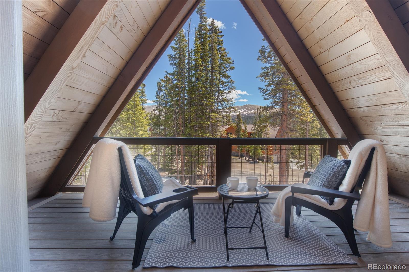 297 Robertson Lane Breckenridge CO 80424
