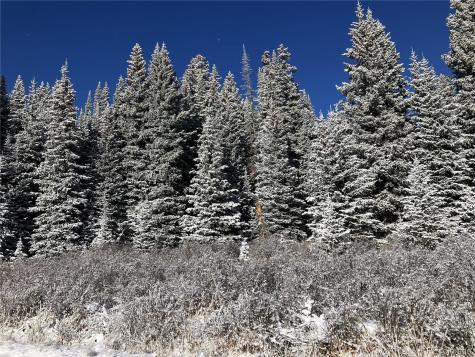 297 Robertson Lane Breckenridge CO 80424