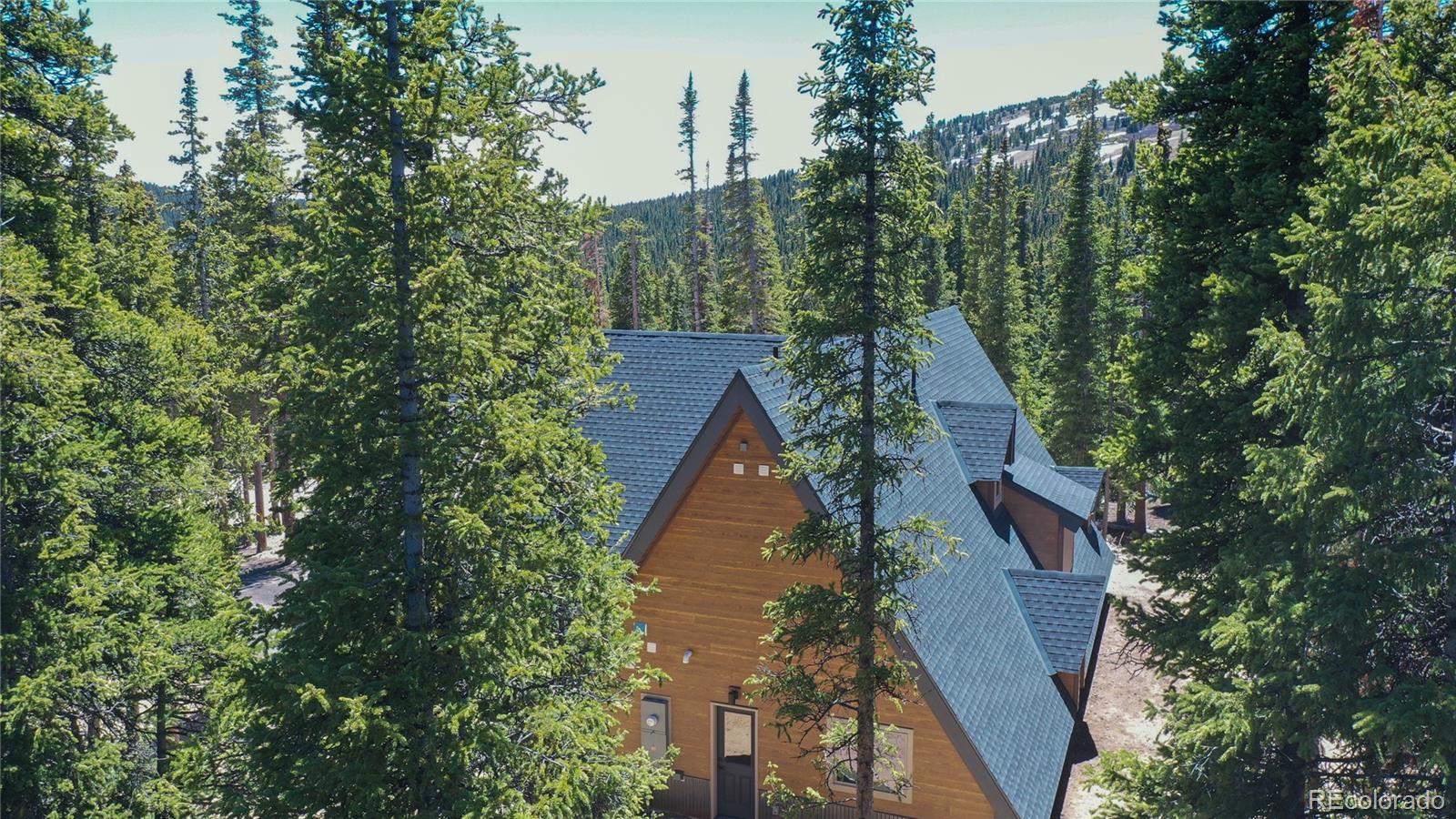 297 Robertson Lane Breckenridge CO 80424