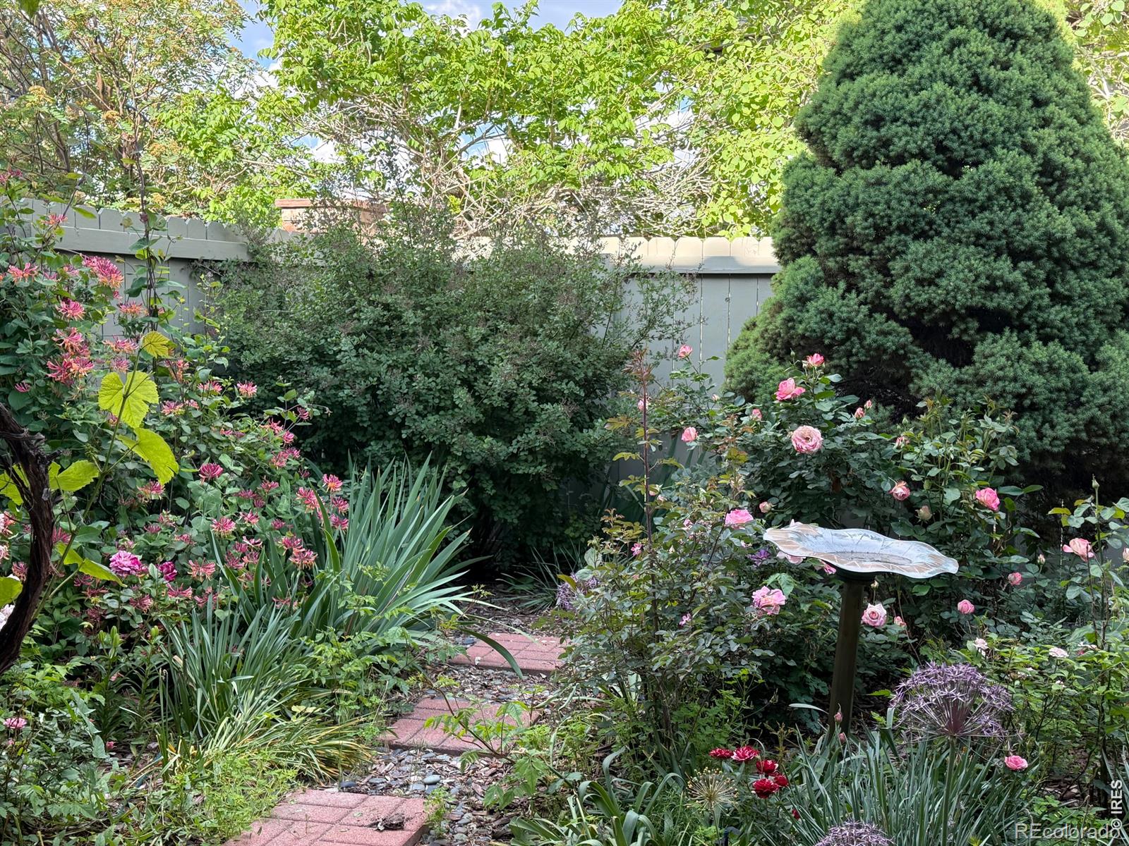 5320 Augusta Trail Fort Collins CO 80528
