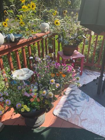 2126 S Espana Street Aurora CO 80013