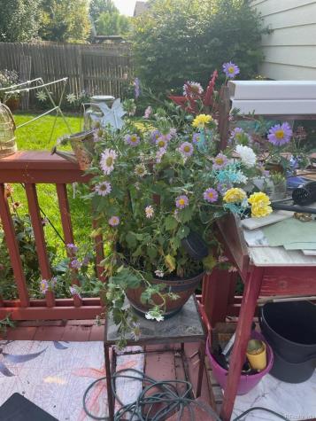 2126 S Espana Street Aurora CO 80013