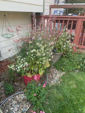 2126 S Espana Street Aurora CO 80013