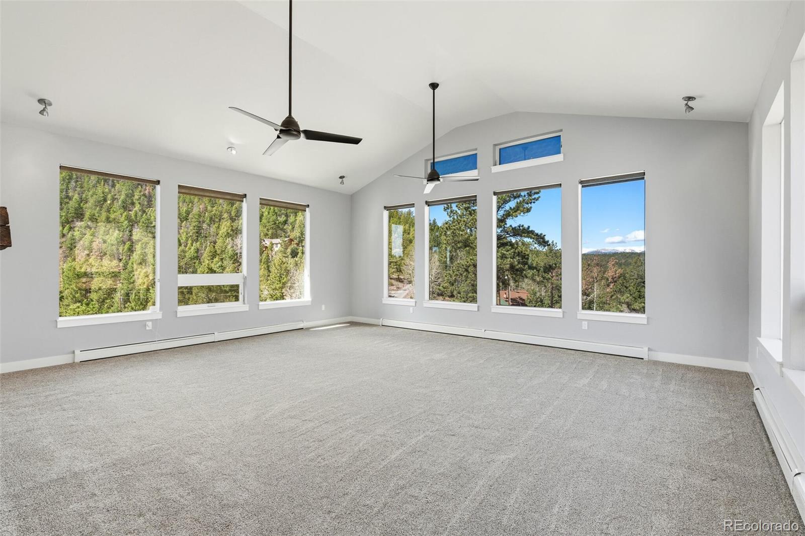 14126 Wamblee Trail Conifer CO 80433