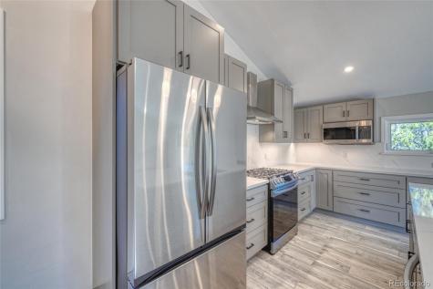 361 Birch Drive Twin Lakes CO 81251