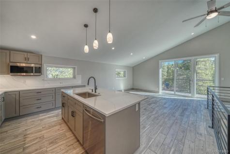 361 Birch Drive Twin Lakes CO 81251
