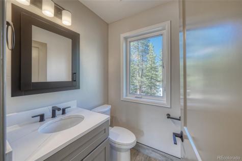 361 Birch Drive Twin Lakes CO 81251