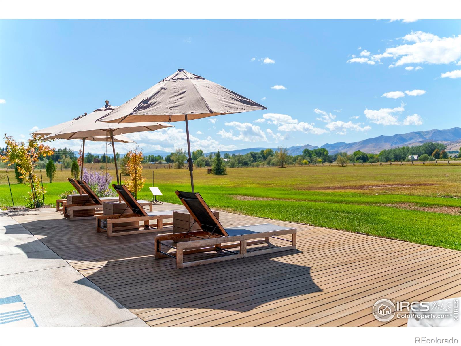 5336 Caribou Springs Trail Longmont CO 80503