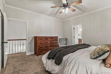 12836 S Silver Plume Street Parker CO 80134