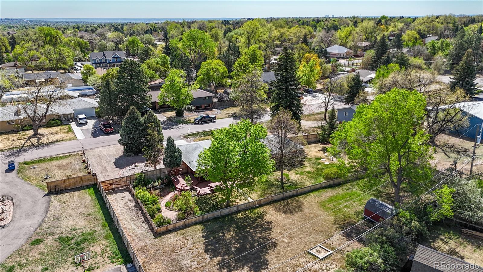8041 Oak Street Arvada CO 80005