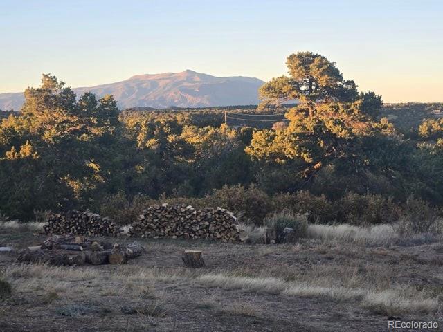 3681 County Road 510 Walsenburg CO 81089