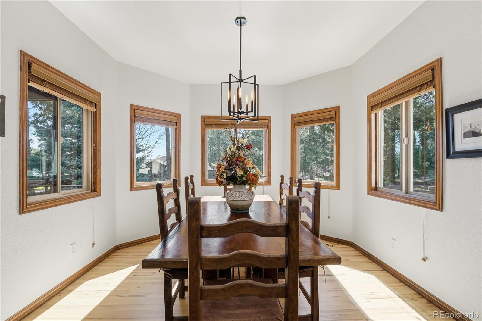 4680 Mohawk Drive Larkspur CO 80118