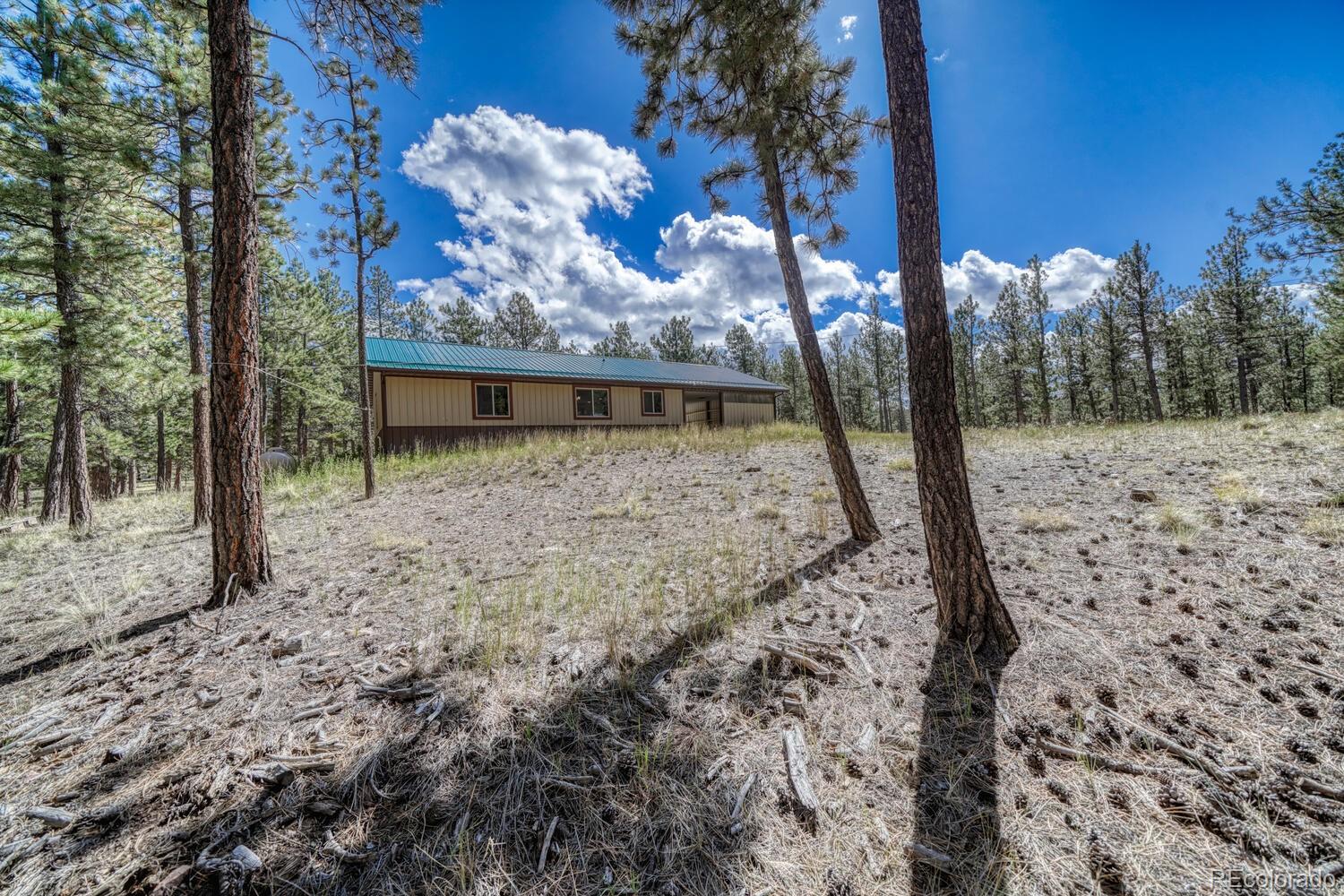 283 Gabbert Drive Westcliffe CO 81252
