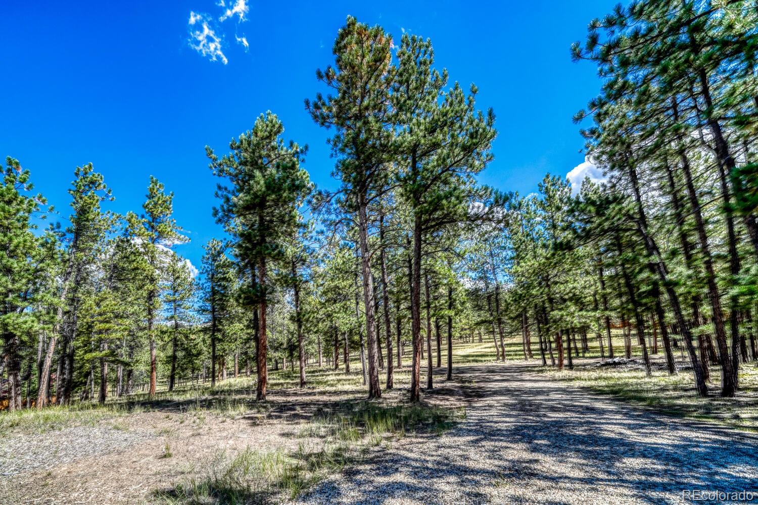 283 Gabbert Drive Westcliffe CO 81252