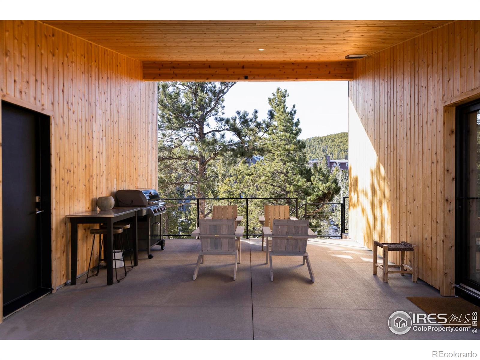 103 W Wildewood Drive Nederland CO 80466