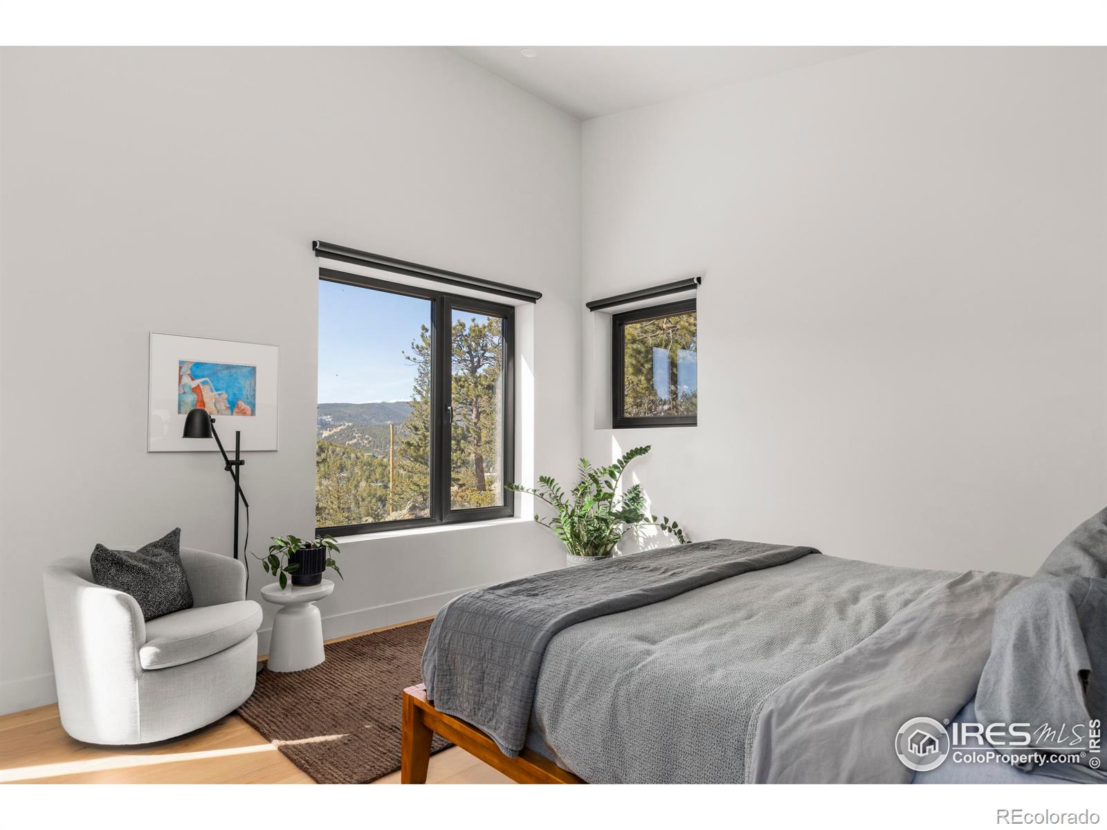 103 W Wildewood Drive Nederland CO 80466