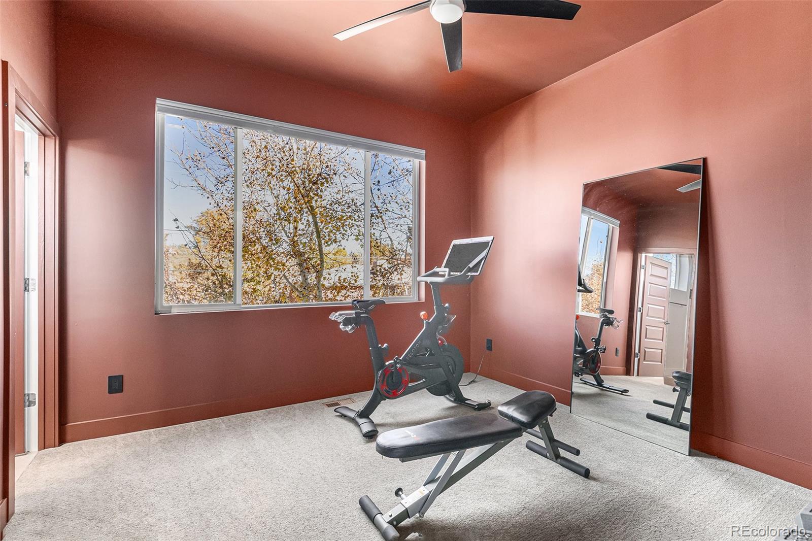 3815 W Alice Place Denver CO 80211