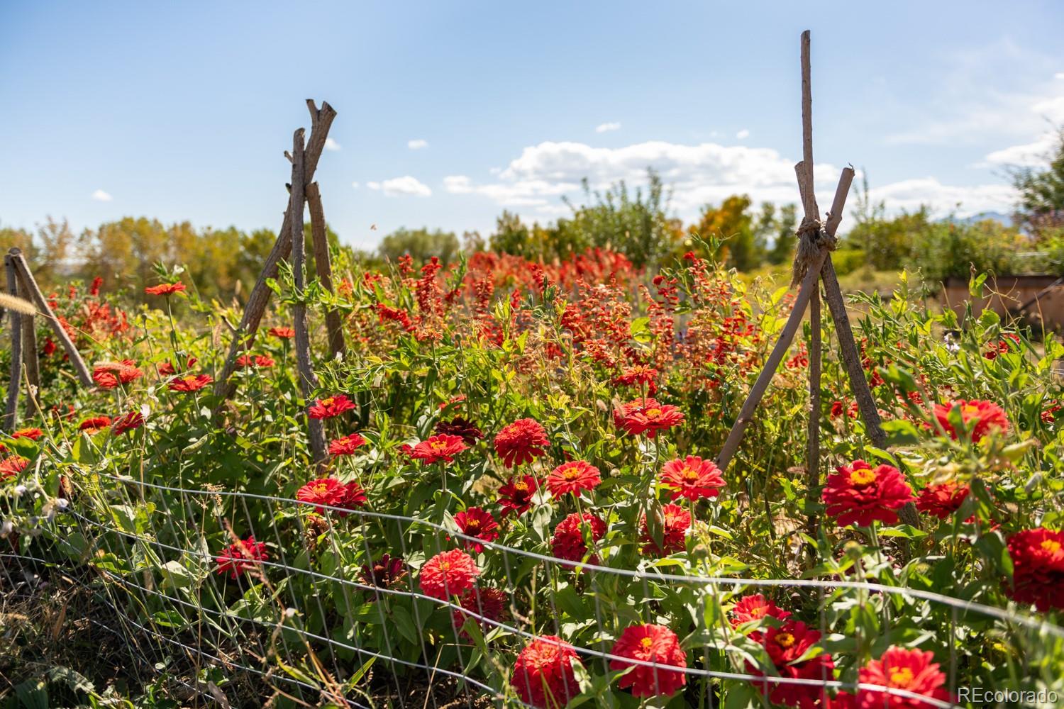 5952 Oxford Road Niwot CO 80503