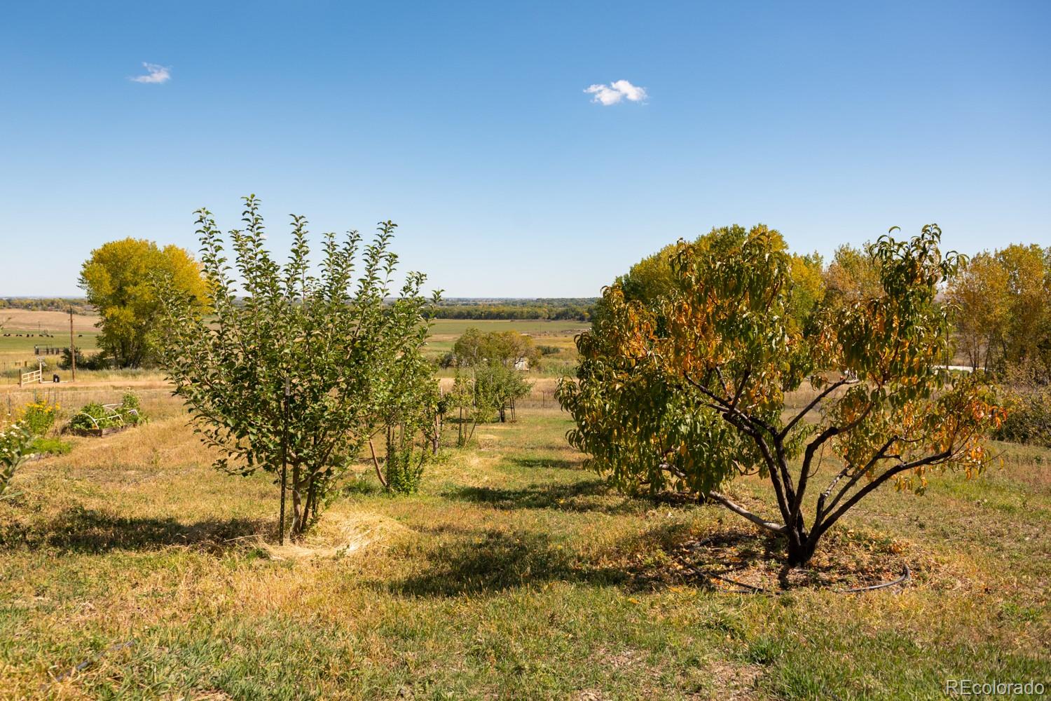 5952 Oxford Road Niwot CO 80503