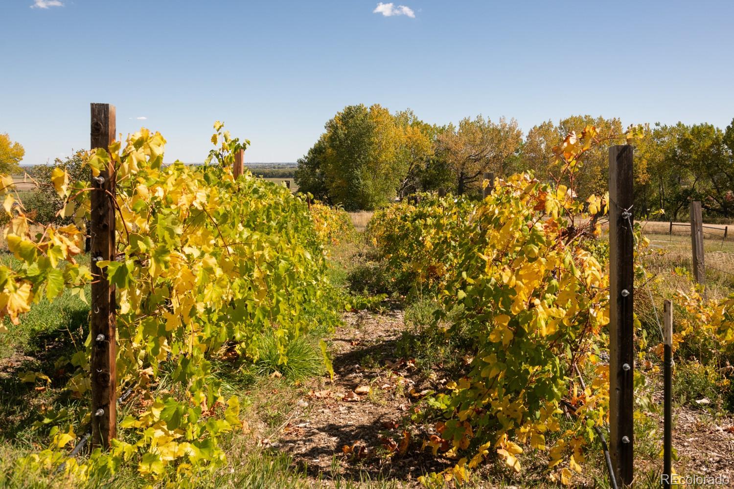 5952 Oxford Road Niwot CO 80503