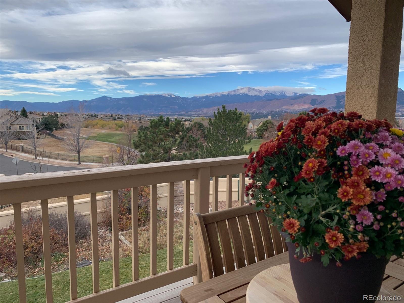 9935 Sawleaf Court Colorado Springs CO 80920