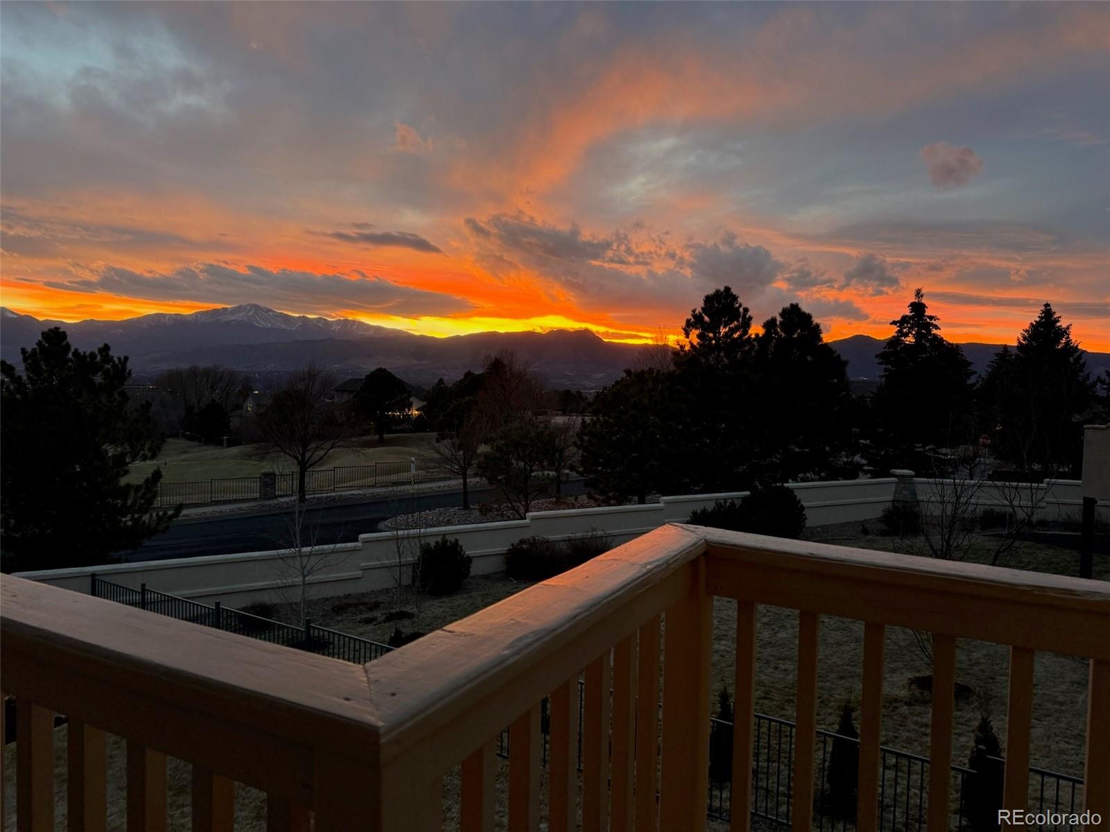 9935 Sawleaf Court Colorado Springs CO 80920